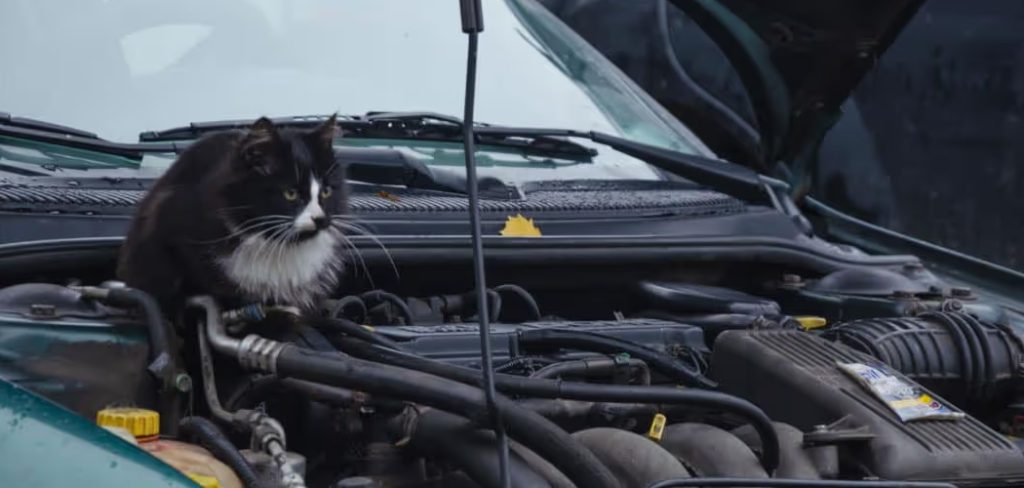 How to Keep Rodents Out of Engine Bay