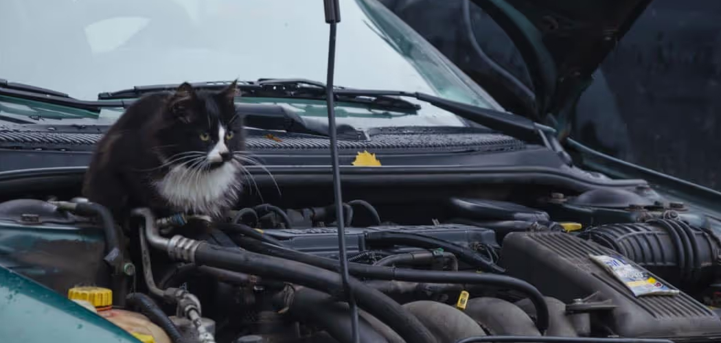 How to Keep Rodents Out of Engine Bay