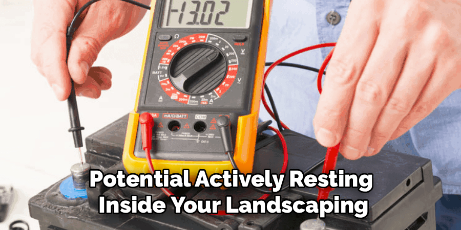Potential Actively Resting 
Inside Your Landscaping
