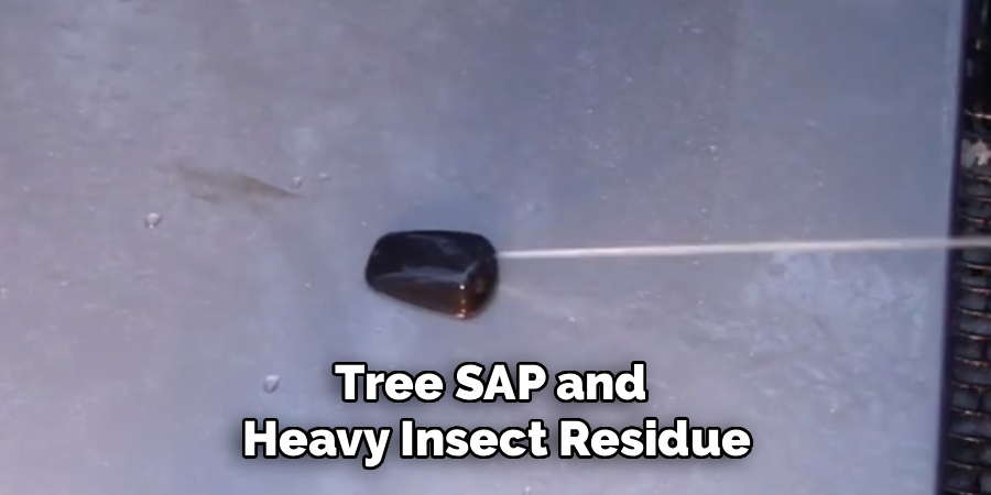 Tree SAP and
Heavy Insect Residue